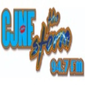 The Storm logo