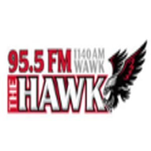 The Hawk logo