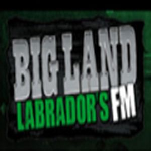 Big Land logo