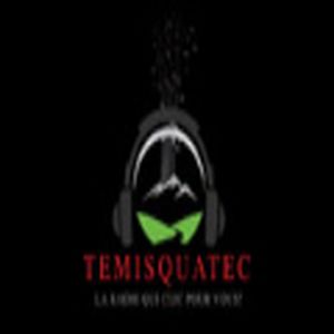 Temisquatec (École Vallée des Lacs) logo