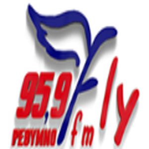 Fly FM 95.9 logo