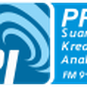 Pro 2 RRI Palembang logo