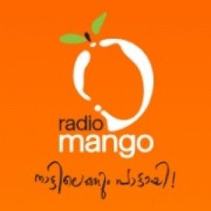 Radio Mango 91.1 logo