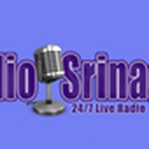 Radio Srinagar logo