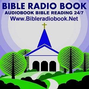 Bible Radio Book logo
