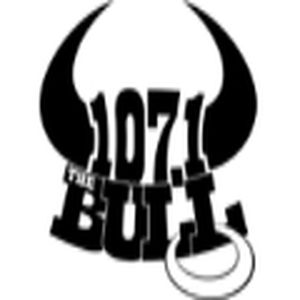 The Bull logo