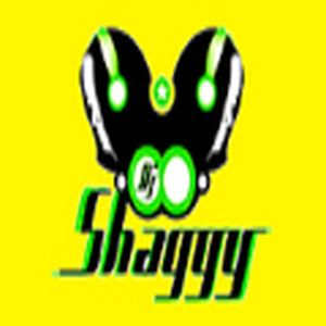 Dj Shaggy Venezuela logo