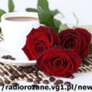 Radio Różane logo