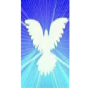 Radio Alas de Cristo Online logo