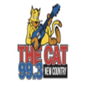 99.3 The Cat logo