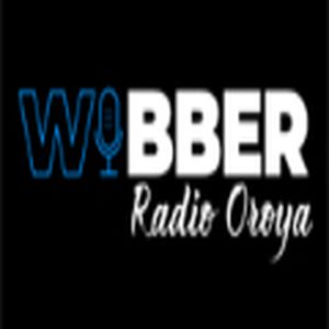 WIBBER logo