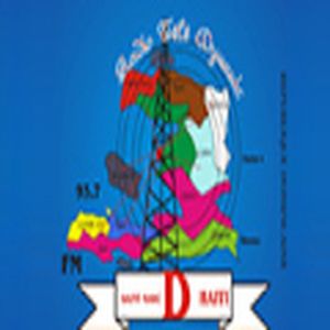 Radio Tele Dynamic logo