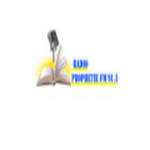 Radio Prophetie Fm 91.1 logo