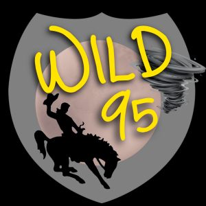 Wild 95 logo