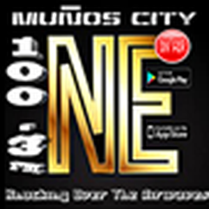 Radio NE FM100.3 logo