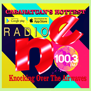 RADIO NE FM100 logo