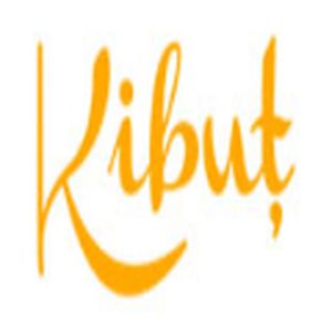 Radio Kibuț logo