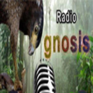 Radio Gnosis logo