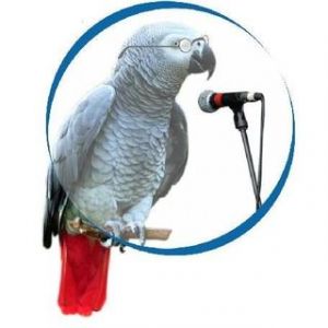 Freedom Radio Kaduna logo