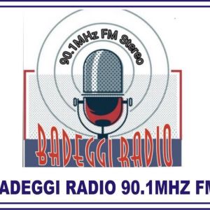 Badeggi Radio 90.1 FM logo