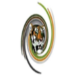 Tiger FM logo