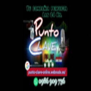 Punto Clave Online Capiibary logo
