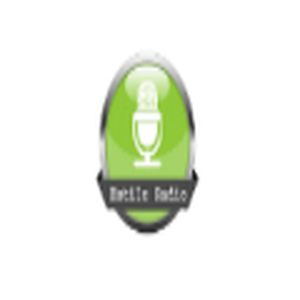 Estilo Radio logo