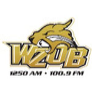 WZOB-AM 1250 logo