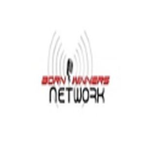Born Winners Network logo