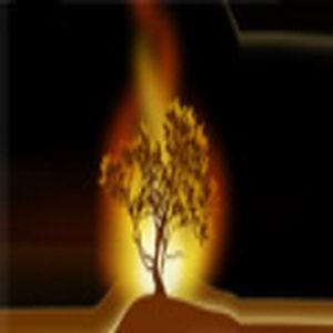 Radio Flambeau De Jesus Christ logo