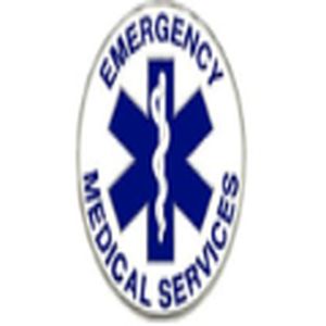 Spearman EMS logo
