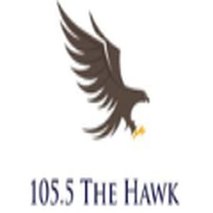 The Hawk logo