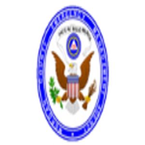 Decatur and Morgan County Public Safety logo